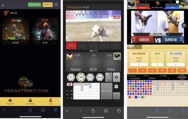 App Đá Gà Cựa Dao Vegas79